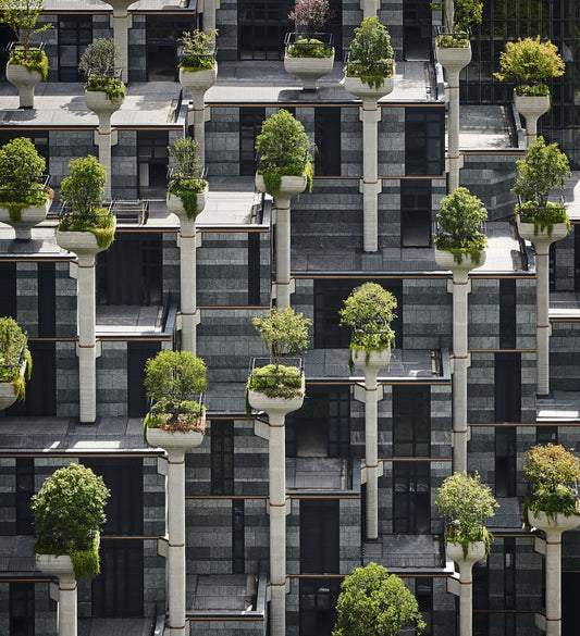 Beautiful and Fresh Greenery of 1000 Trees in the Heart of Shanghai's Art District