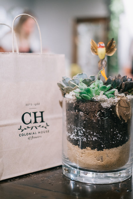 Pictures From CHOF + Pottery Barn Succulent Workshop at Lenox Square