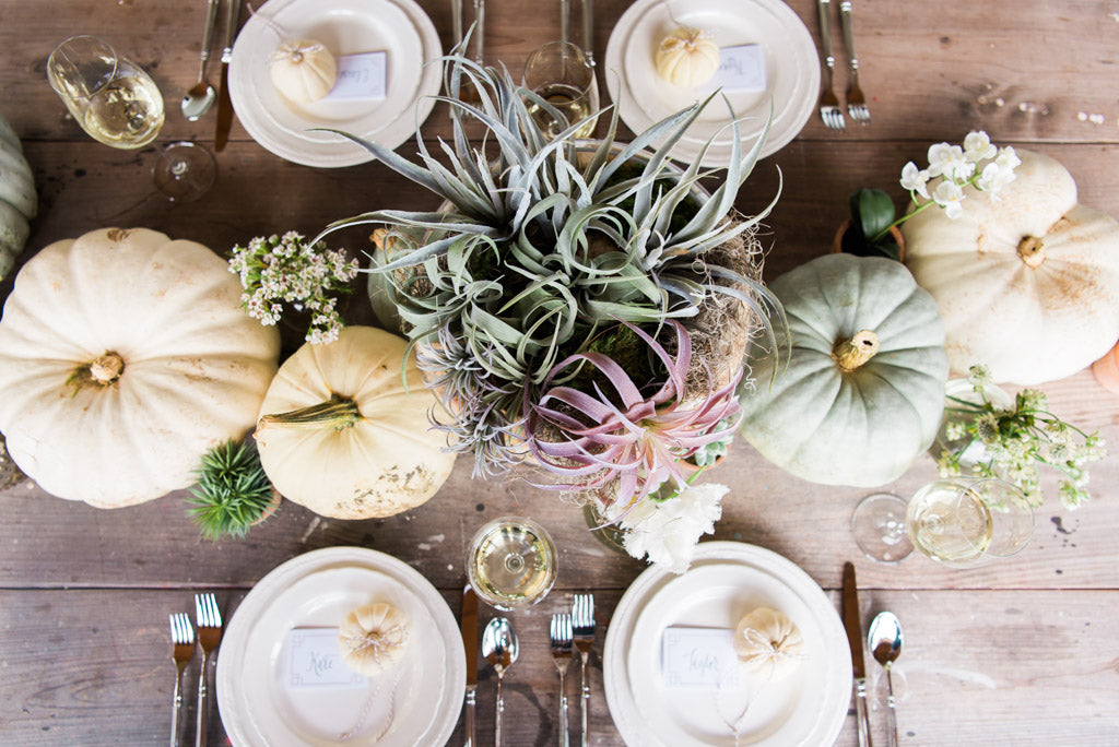 END-OF-FALL PARTY THANKSGIVING TIPS WITH POTTERY BARN