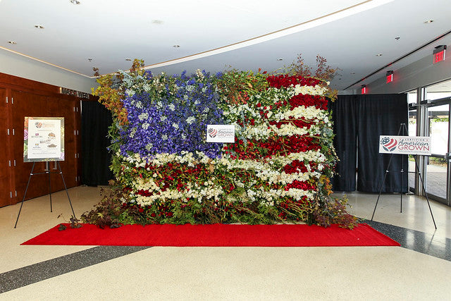 American Grown Pride is Waving in the Air with this Flower Wall in Miami