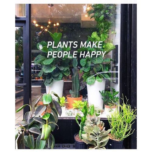 Plants For People That Will Bring Us Good Luck & Abundance In Atlanta This Year