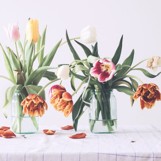 How To: Make Your Fresh Cut Tulips Last Longer
