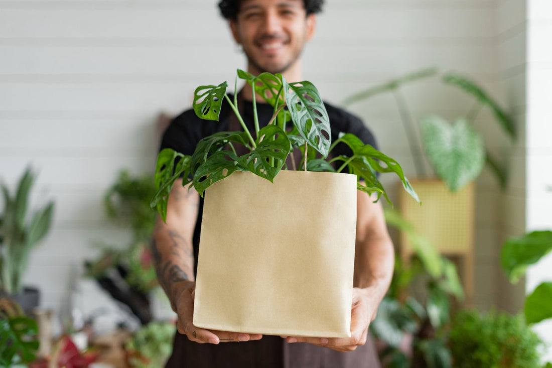 4 of the Best Reasons to Grow Your Brand With Plants