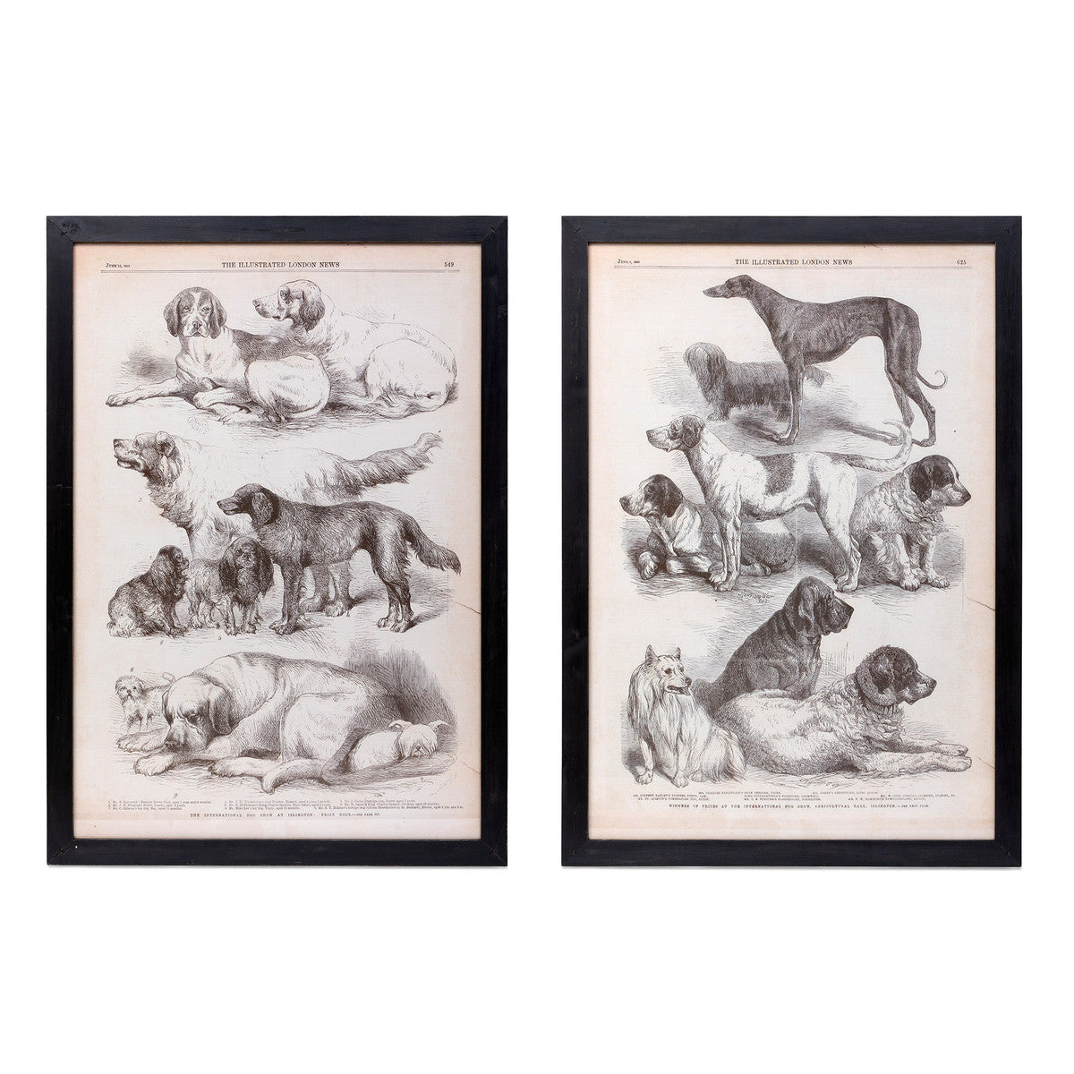 black and white luxe decor dog prints