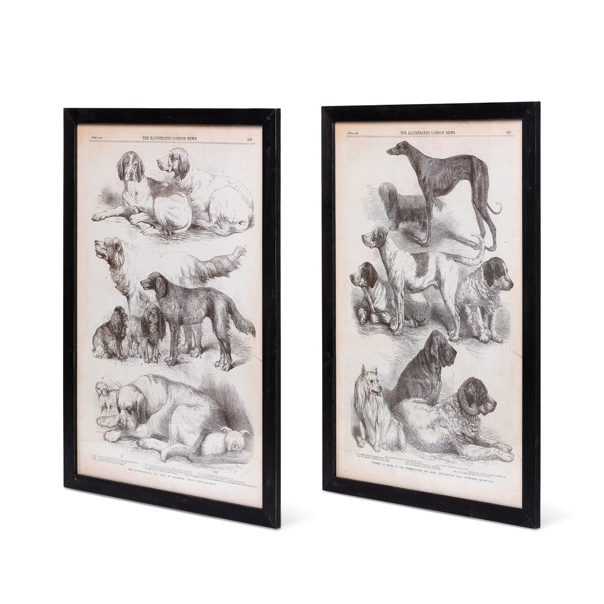 set of two dog vintage black and white dog prints