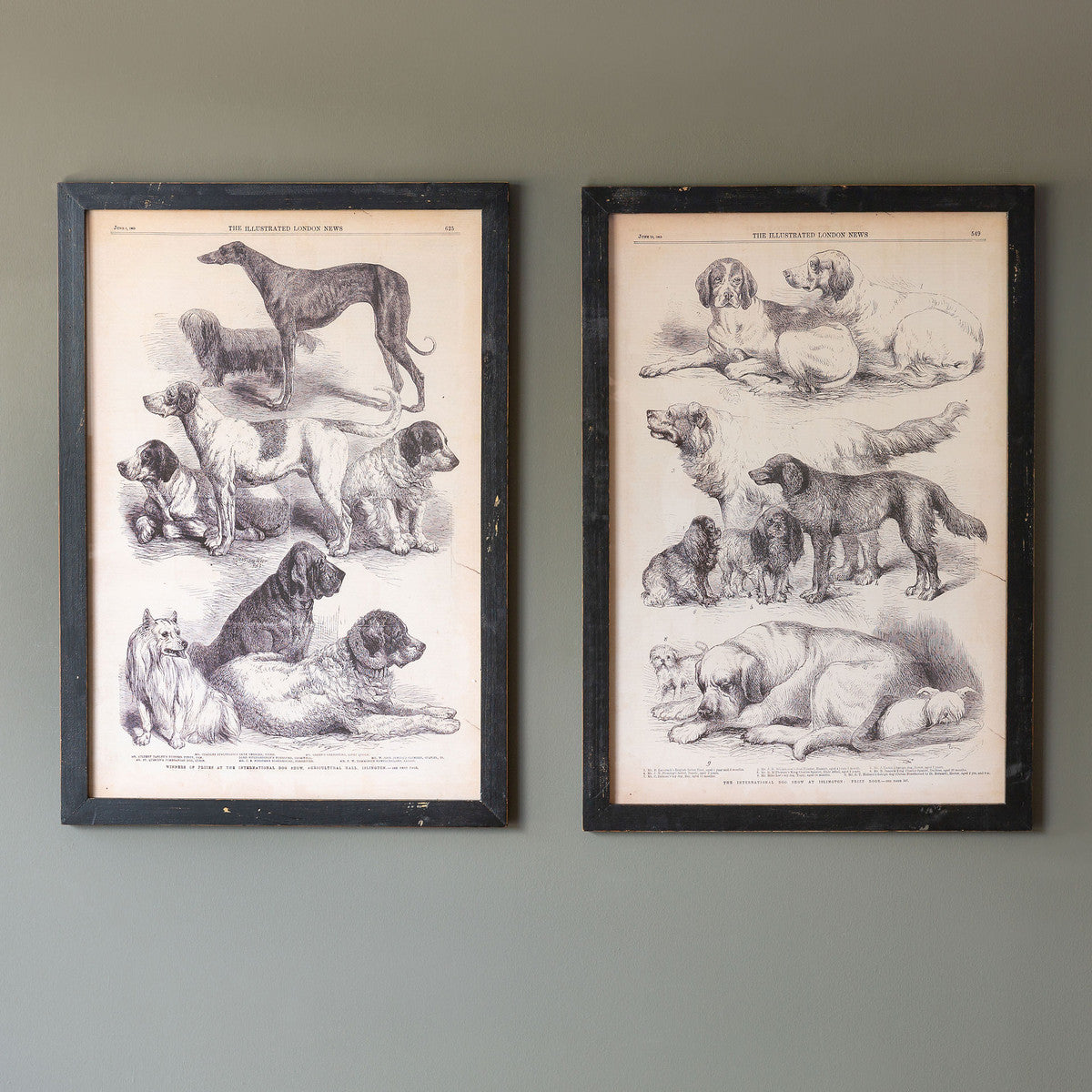two black and white dog prints on grey painted wall