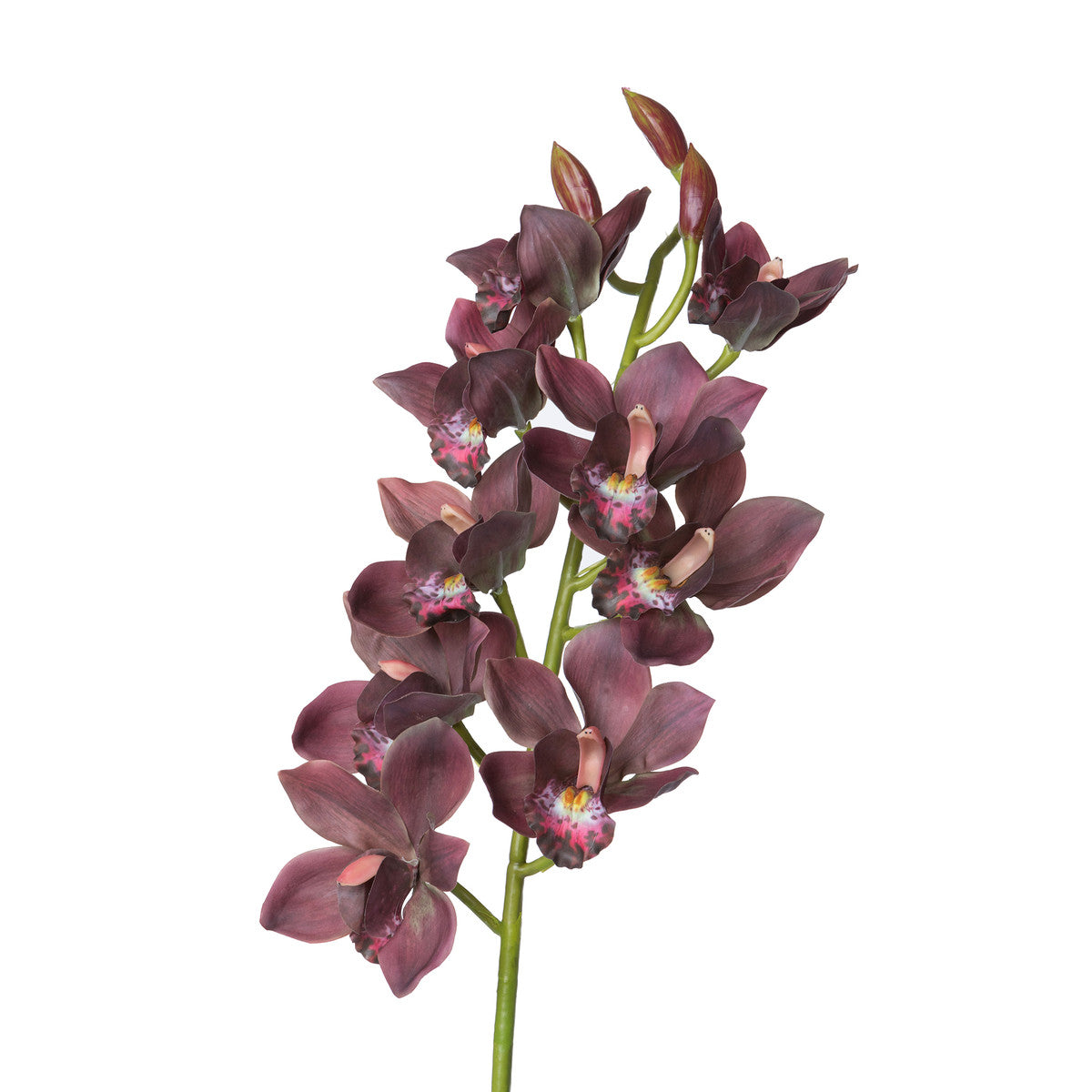 Faux Cymbidium Mauve Orchid Stem, Box of 4
