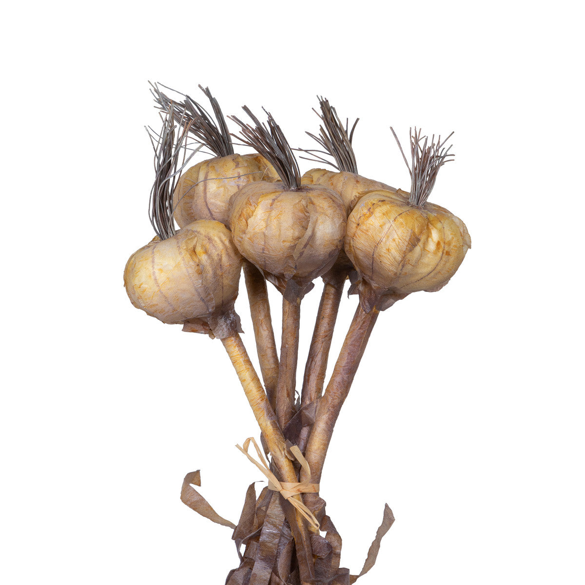 Faux Dried Garlic, Bundle of 5