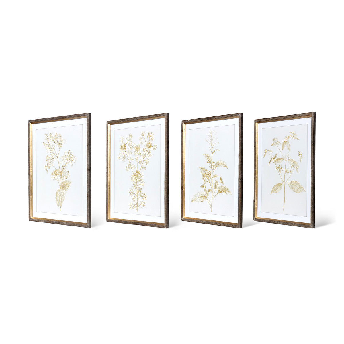 Sepia Botanical Framed Print, Set of 4