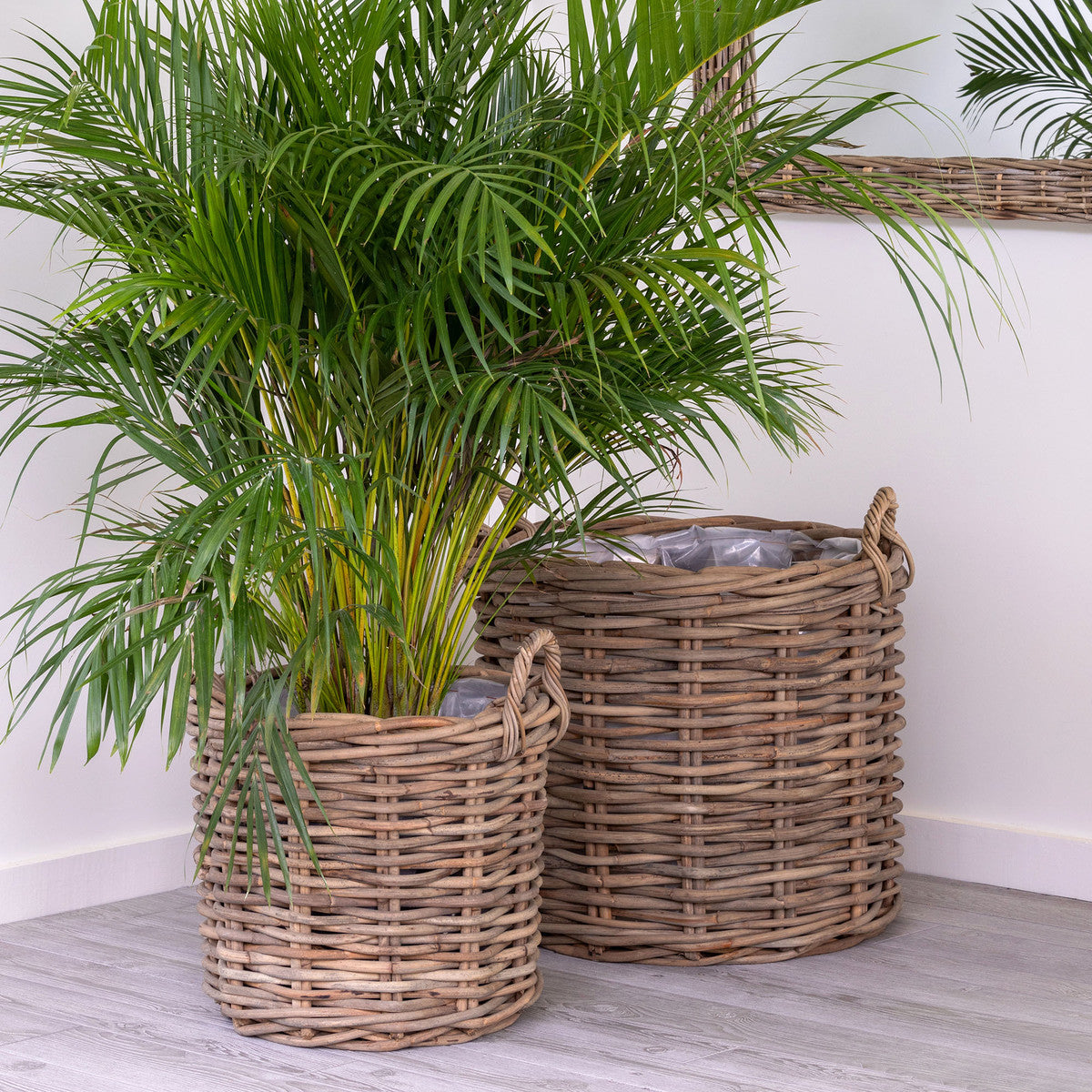handwoven rattan floor baskets with green indoor plant white walls wood floor