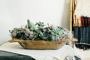 Custom-Designed-Succulent-Orchid-House-Plants-Designed-in-Luxe-Wood-Bread-Bowl-By-Christy-Griner-Hulsey-At-Atlanta's-Premier-Shop-for-flowers-plants-decor-in-atlanta-georgia