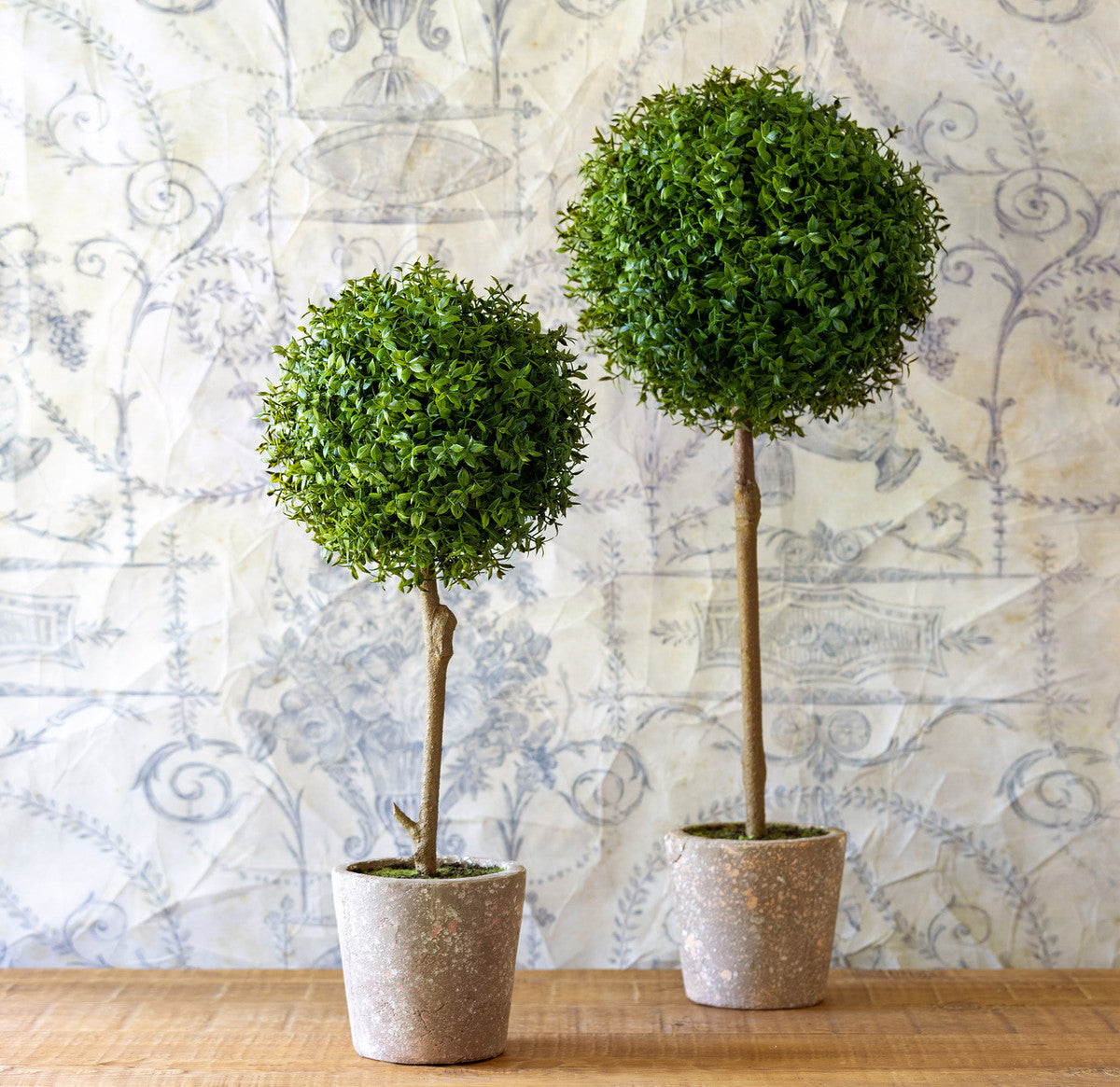 Thyme Ball Topiary in Cement Pot