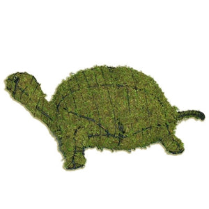 Topiary - Turtle Mossed