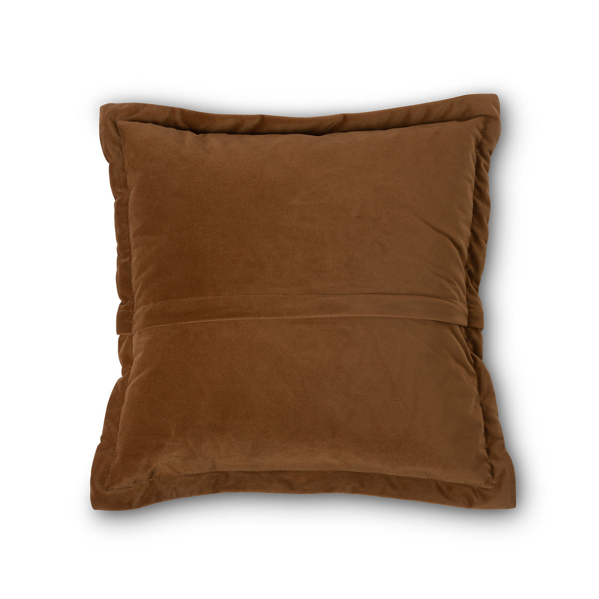 Winifred Velvet Throw Pillow, Set of 2