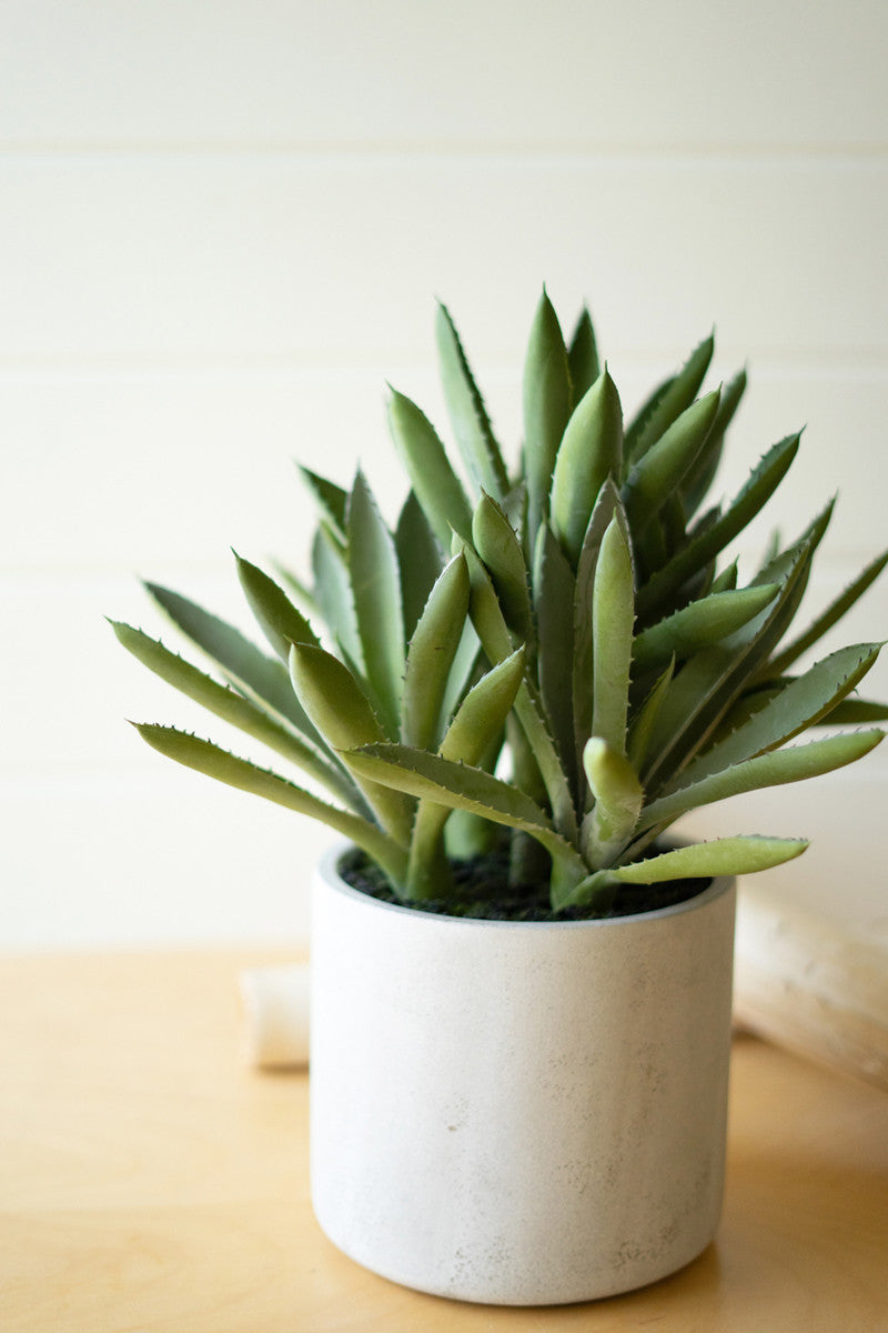 faux artificial green aloe plant on a table 