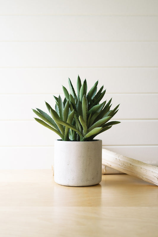 faux artificial green aloe plant in a white ceramic pot on a wood table with a white wall