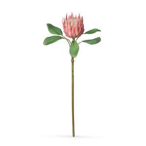 FAUX Protea Pink Stems, Box of 12