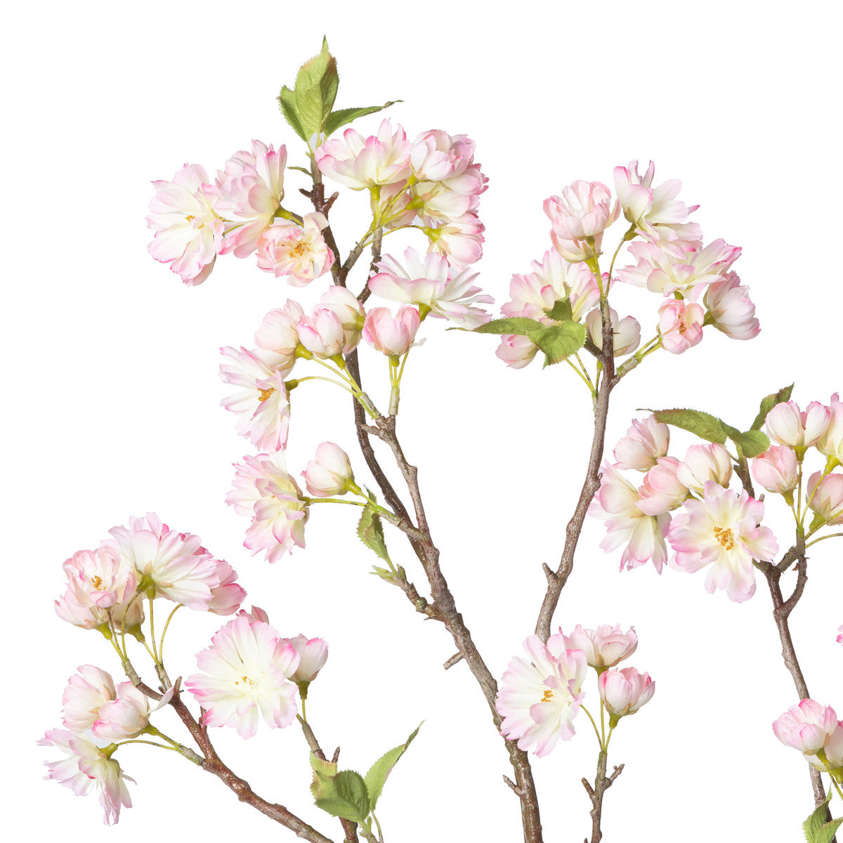 Faux Cherry Blossom Branch, Box of 6