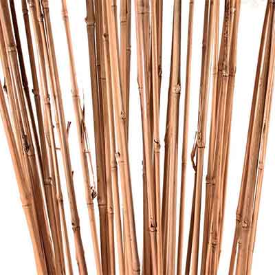 bamboo sticks for floral supplies