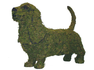 Topiary,  Basset Hound Dog