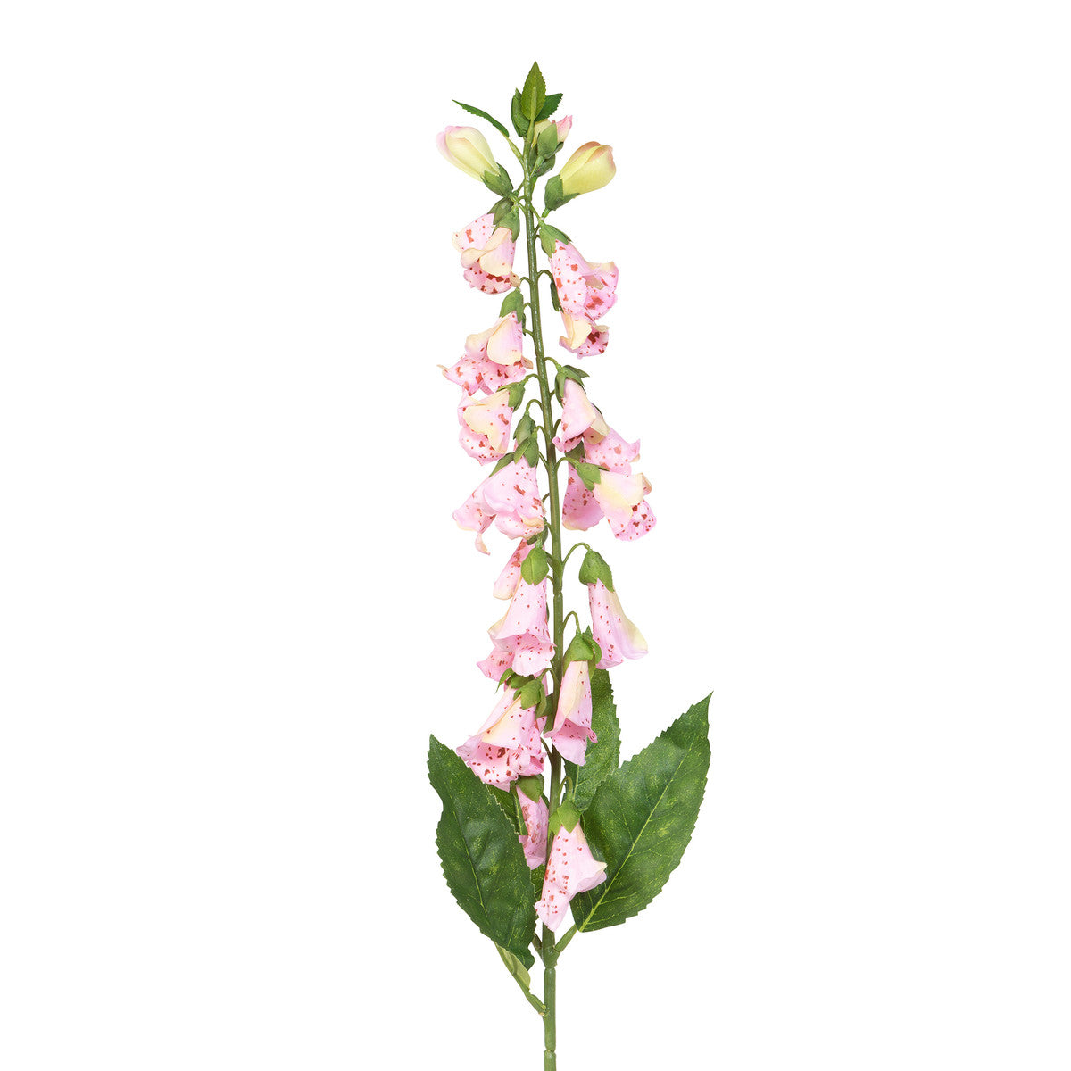 Faux Crafted English Garden Foxgloves and Gomphrena, Box of 12