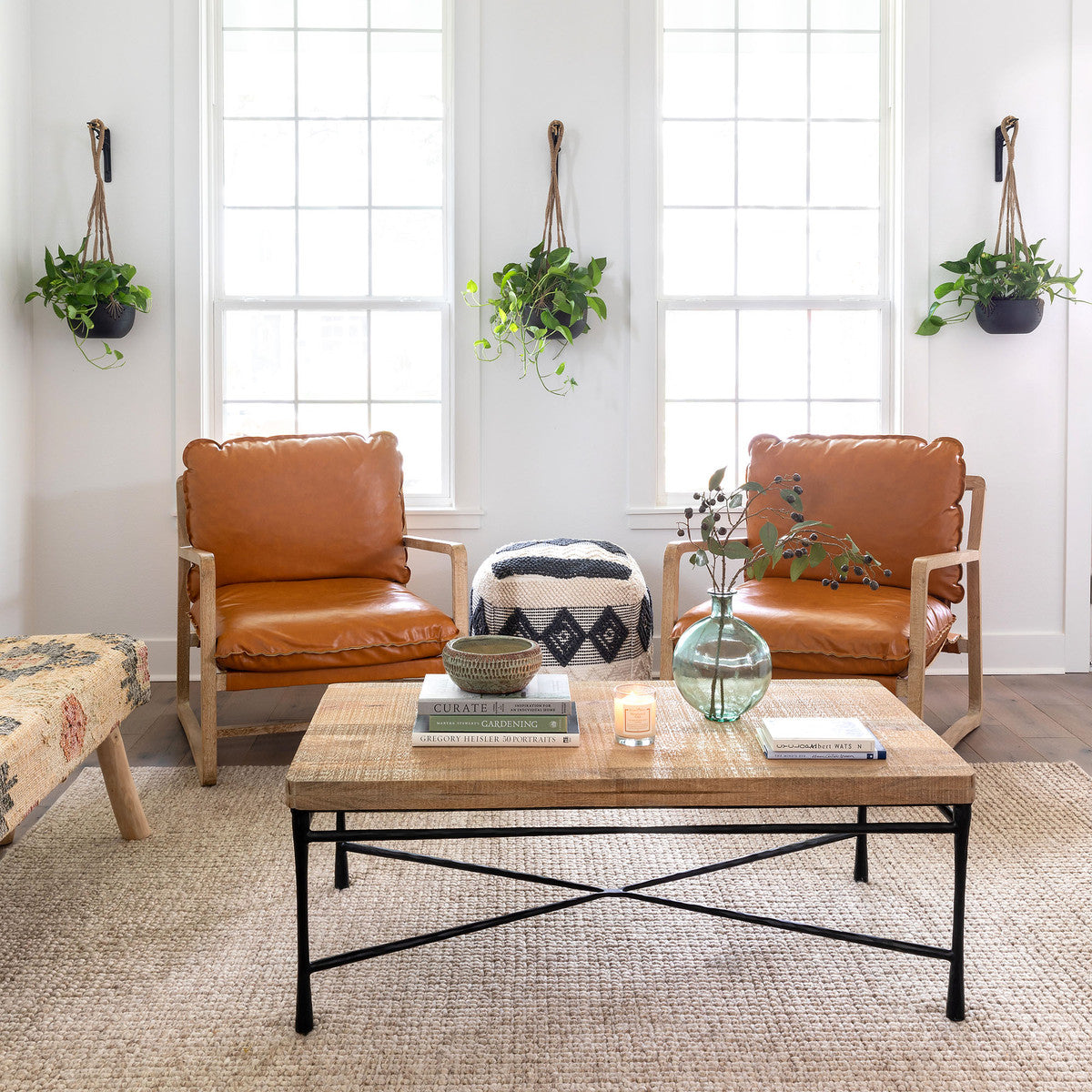 two modern vegan leather brawn chair in a cozy living space with plants window and rug