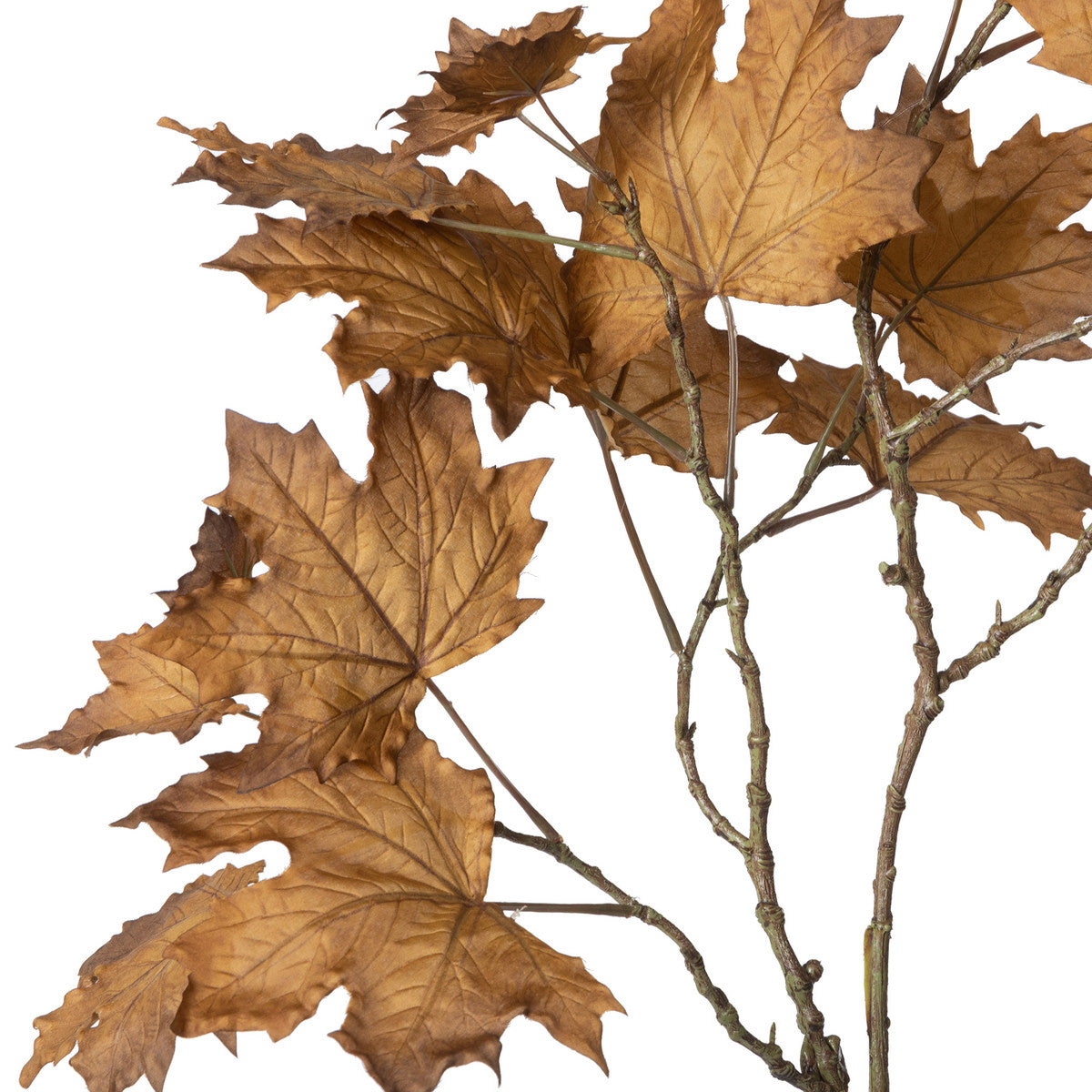 Faux Bronze Maple Leaf, Box of 6