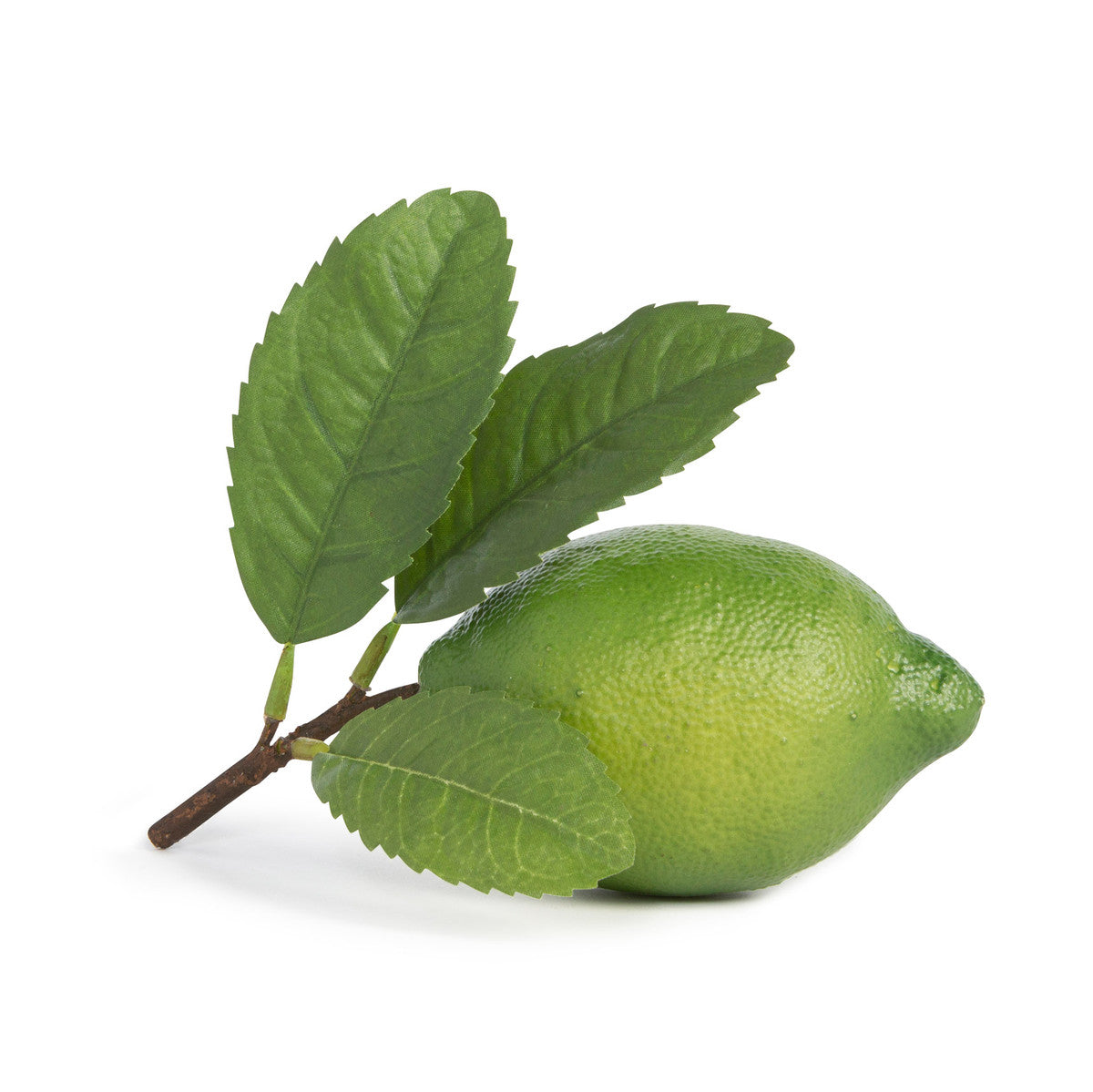faux artificial green lime with leaf on white background