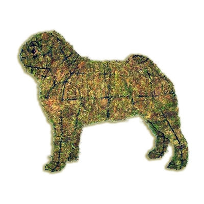 pug dog mossed topiary on white background
