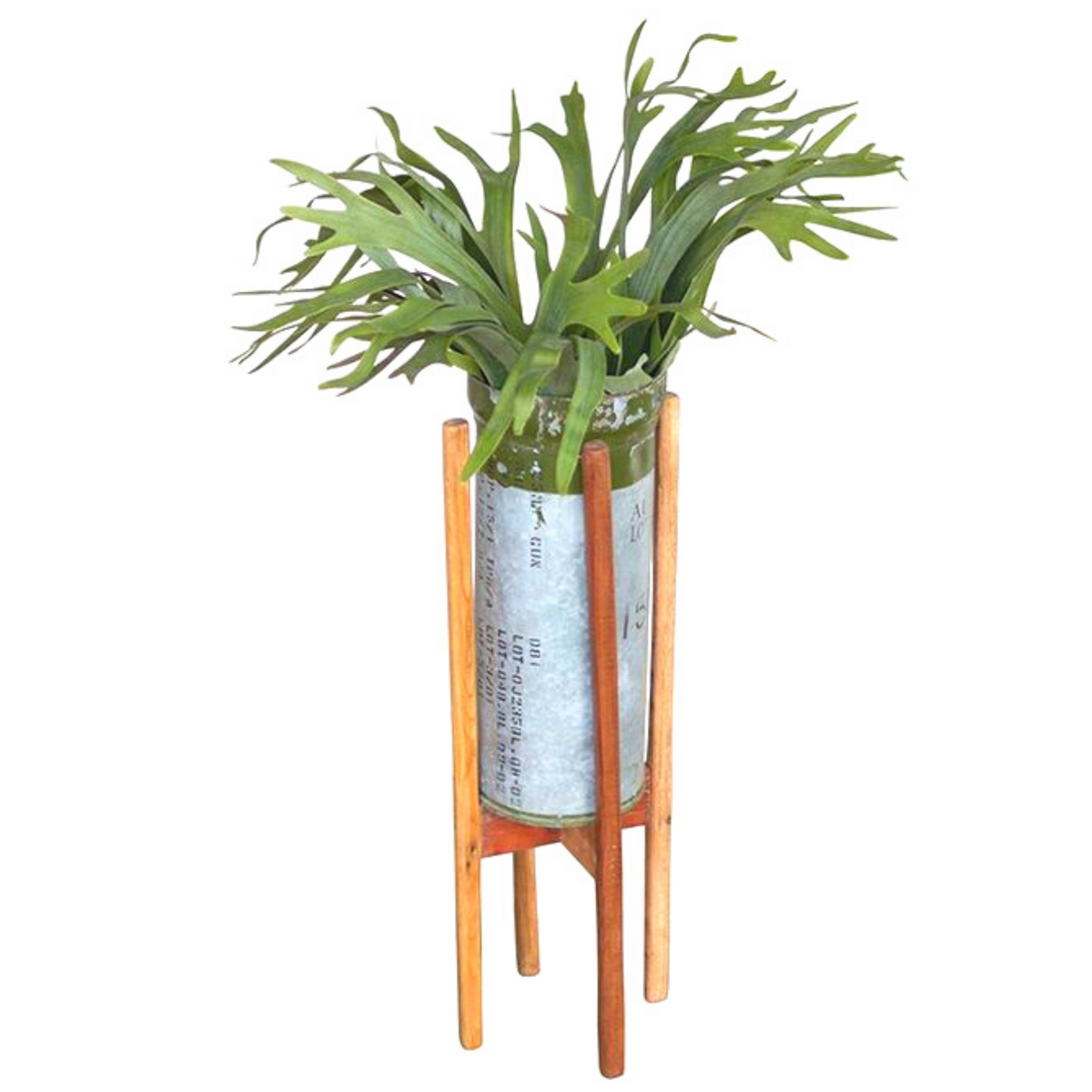 reclaimed metal ammunition planter with  green stag horn fern