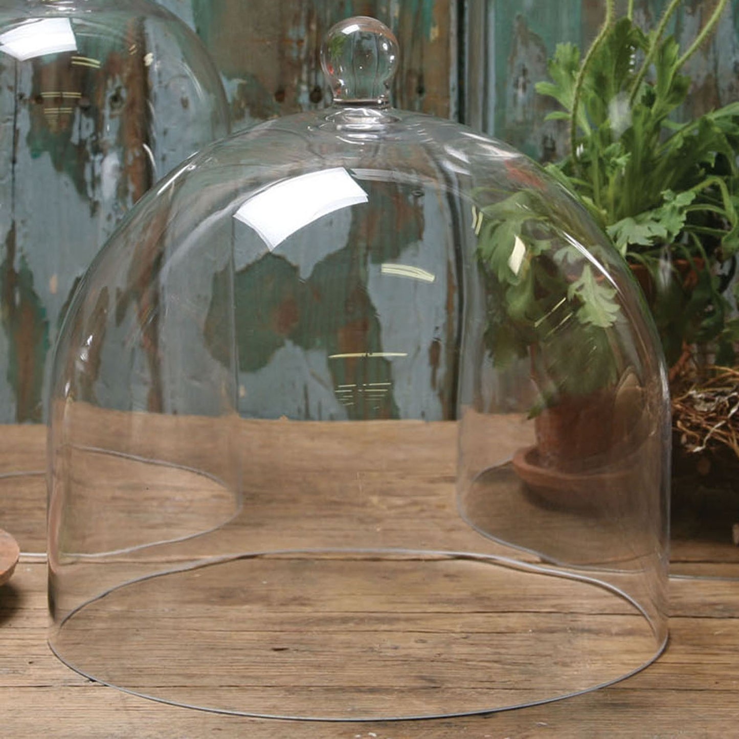 Clear Glass Cloche Dome, Large