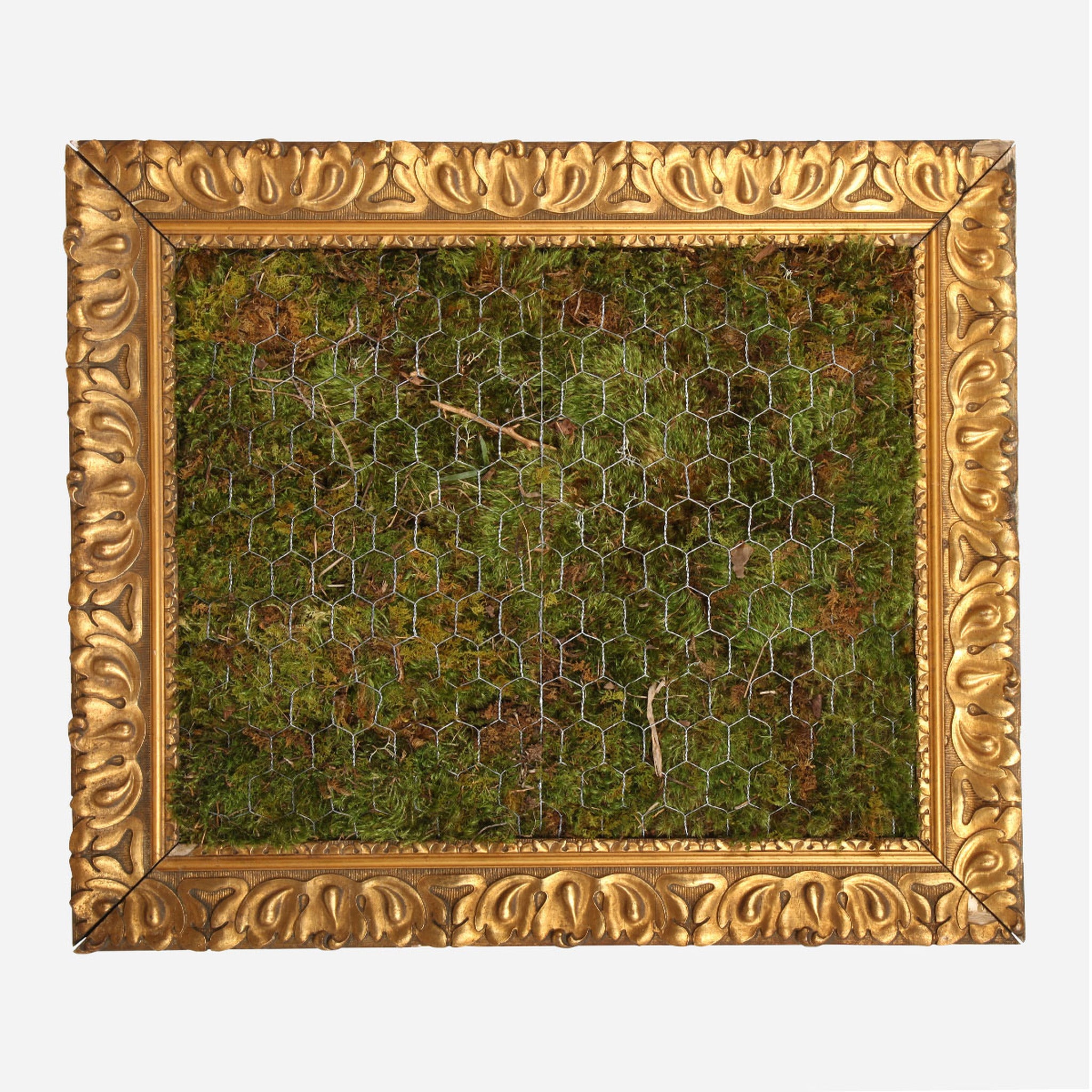 Living Wall Moss Frame by Bobo Intriguing Objects