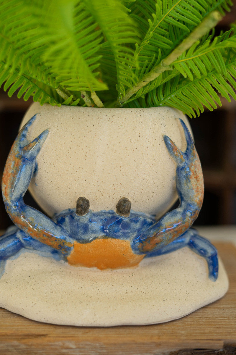 blue and orange crab in a coastal style planter 