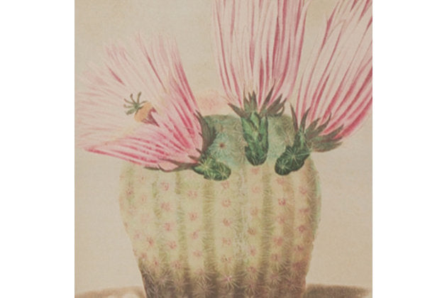 Cactus Flower Prints Under Glass, Set of 9