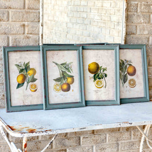Citrus & Blossom Framed Prints, Set of 4