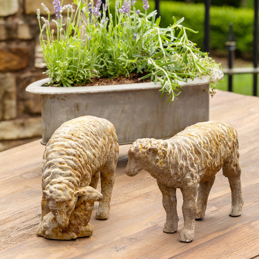 Country Sheep Family, Set of 2