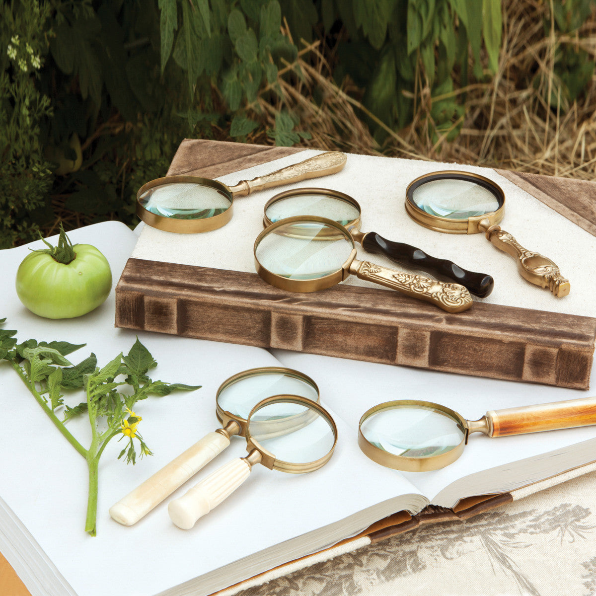 magnifying-glass-collection-on-book-with-tomatoe
