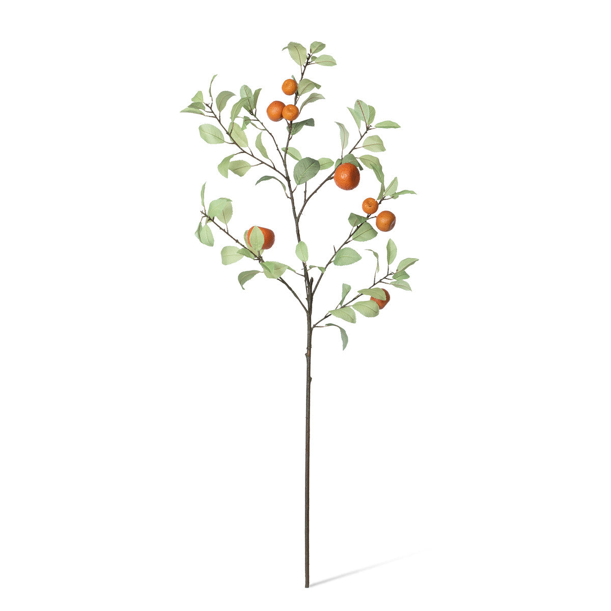 faux artificial orange tangerine branch with green leaves on white backgound