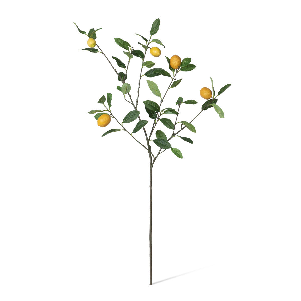 faux artificial yellow lemons on branch with green leaves white background