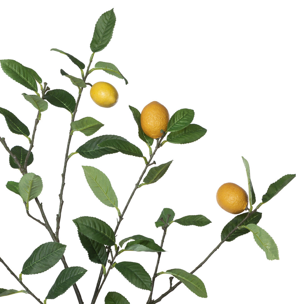 faux artificial yellow lemons with green leaves on white background