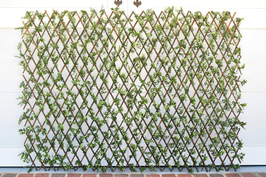 faux artificial willow lattice screen on a white wall