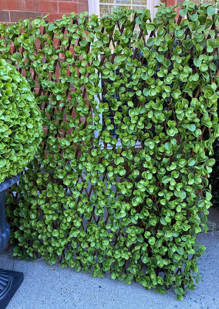 faux boxwood on a willow lattice screen next to brick wall