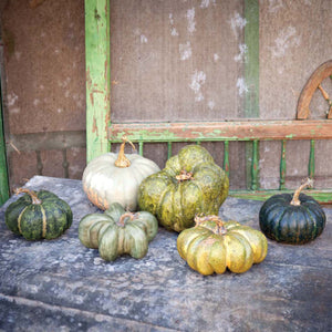 Green Heirloom Pumpkin Collection, Set of 6, Assorted Styles