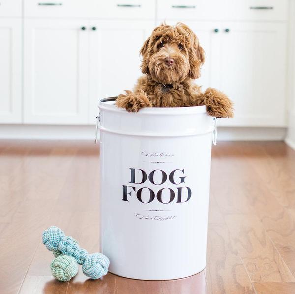 Harry Barker Bon Chien Dog Food Storage Canister in White