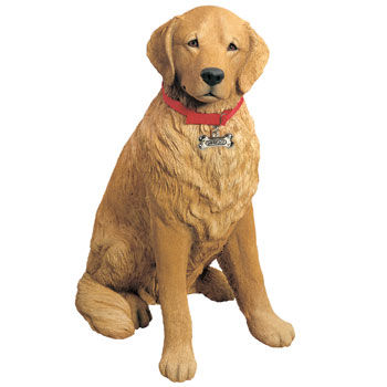 large life size golden retriever red collar white background