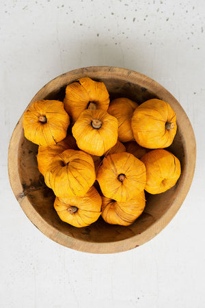 Dried Mini Orange Faux Pumpkins, Bag of 15