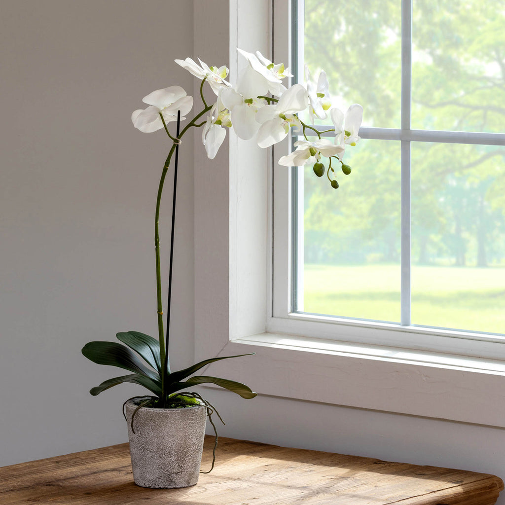 Faux Orchid Plant in Concrete Pot