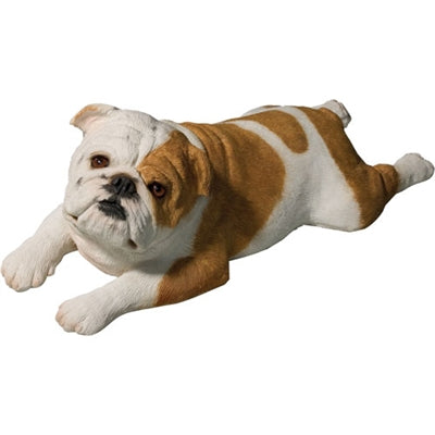 Sandicast Bulldog, White & Fawn, Large Life Size + Original Size