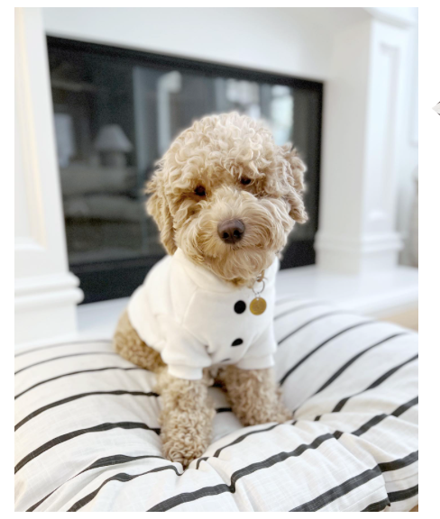 The Foggy Dog Modern Stripe Charcoal Dog Bed