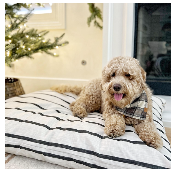 The Foggy Dog Modern Stripe Charcoal Dog Bed